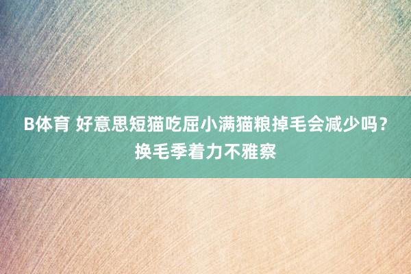B体育 好意思短猫吃屈小满猫粮掉毛会减少吗？换毛季着力不雅察