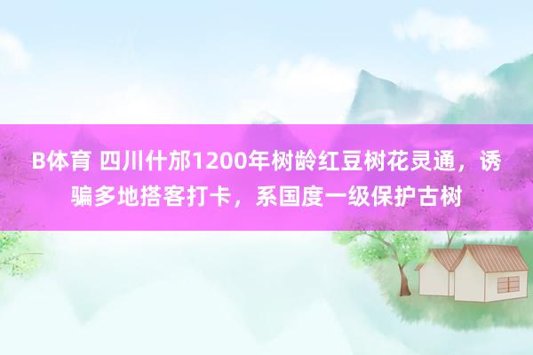 B体育 四川什邡1200年树龄红豆树花灵通，诱骗多地搭客打卡，系国度一级保护古树