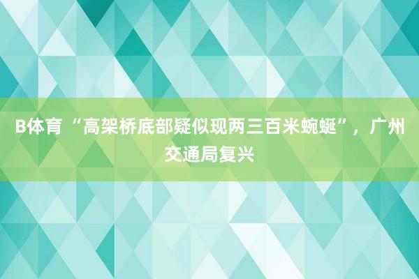 B体育 “高架桥底部疑似现两三百米蜿蜒”，广州交通局复兴