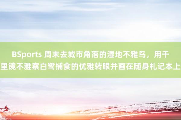 BSports 周末去城市角落的湿地不雅鸟，用千里镜不雅察白鹭捕食的优雅转眼并画在随身札记本上