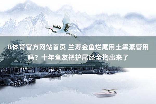 B体育官方网站首页 兰寿金鱼烂尾用土霉素管用吗？十年鱼友把护尾经全掏出来了