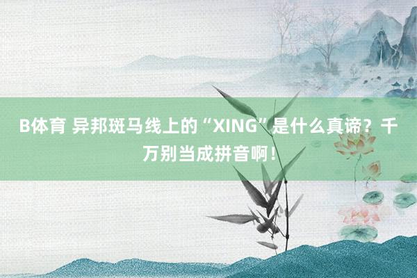 B体育 异邦斑马线上的“XING”是什么真谛？千万别当成拼音啊！