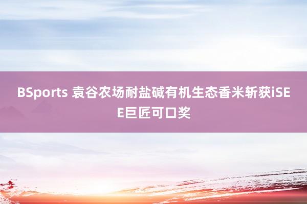 BSports 袁谷农场耐盐碱有机生态香米斩获iSEE巨匠可口奖