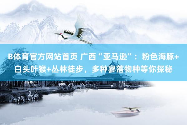 B体育官方网站首页 广西“亚马逊”：粉色海豚+白头叶猴+丛林徒步，多种寥落物种等你探秘