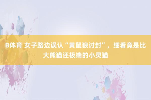 B体育 女子路边误认“黄鼠狼讨封”，细看竟是比大熊猫还极端的小灵猫