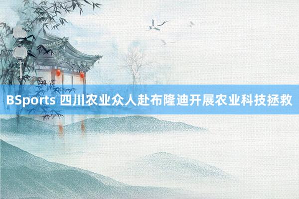 BSports 四川农业众人赴布隆迪开展农业科技拯救