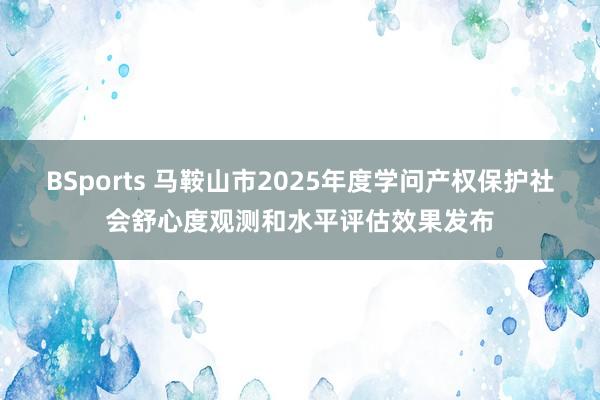 BSports 马鞍山市2025年度学问产权保护社会舒心度观测和水平评估效果发布