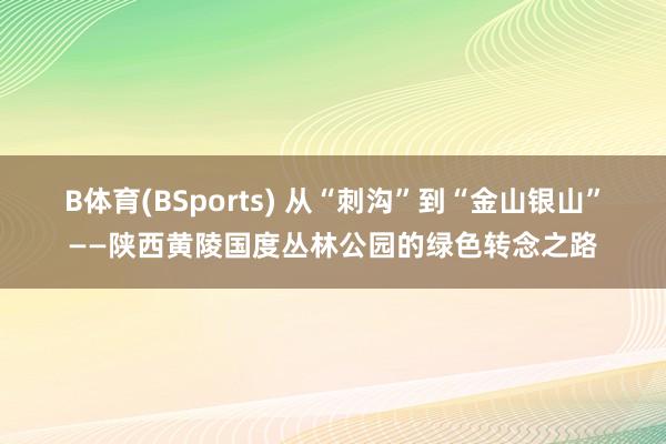 B体育(BSports) 从“刺沟”到“金山银山”——陕西黄陵国度丛林公园的绿色转念之路