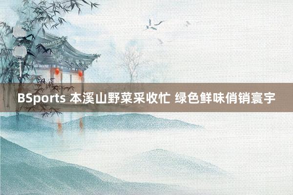 BSports 本溪山野菜采收忙 绿色鲜味俏销寰宇