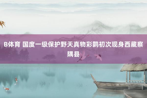 B体育 国度一级保护野天真物彩鹮初次现身西藏察隅县
