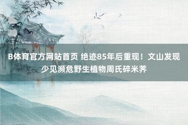 B体育官方网站首页 绝迹85年后重现！文山发现少见濒危野生植物周氏碎米荠