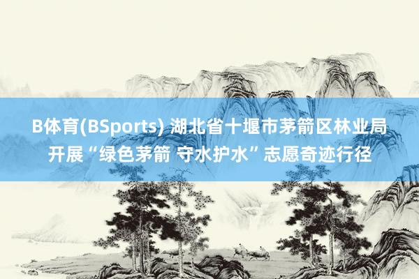 B体育(BSports) 湖北省十堰市茅箭区林业局开展“绿色茅箭 守水护水”志愿奇迹行径