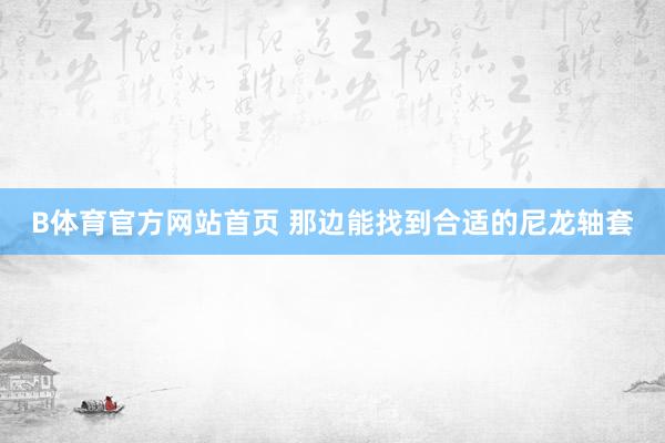 B体育官方网站首页 那边能找到合适的尼龙轴套