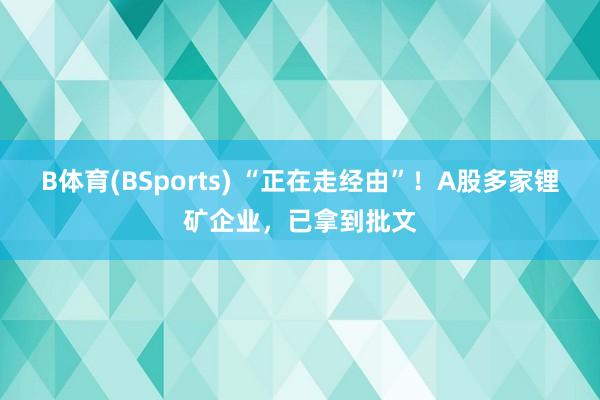 B体育(BSports) “正在走经由”！A股多家锂矿企业，已拿到批文