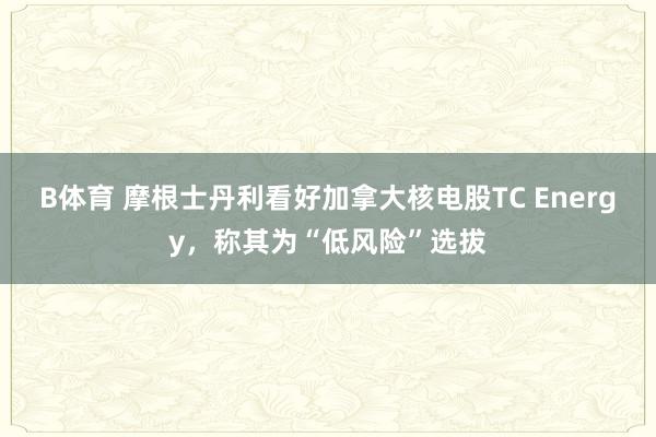 B体育 摩根士丹利看好加拿大核电股TC Energy，称其为“低风险”选拔