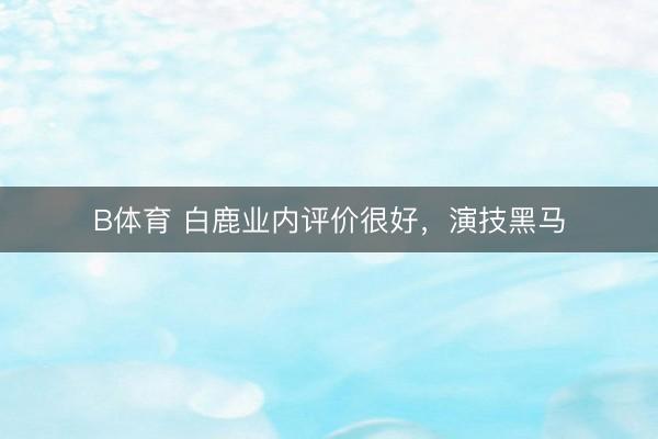 B体育 白鹿业内评价很好，演技黑马